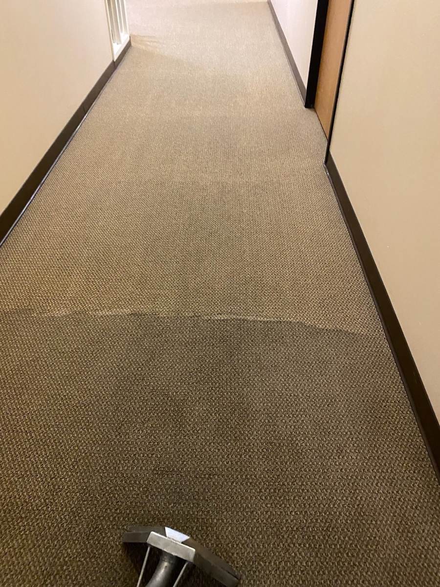Commercial carpet mid-extraction with a visible clean line