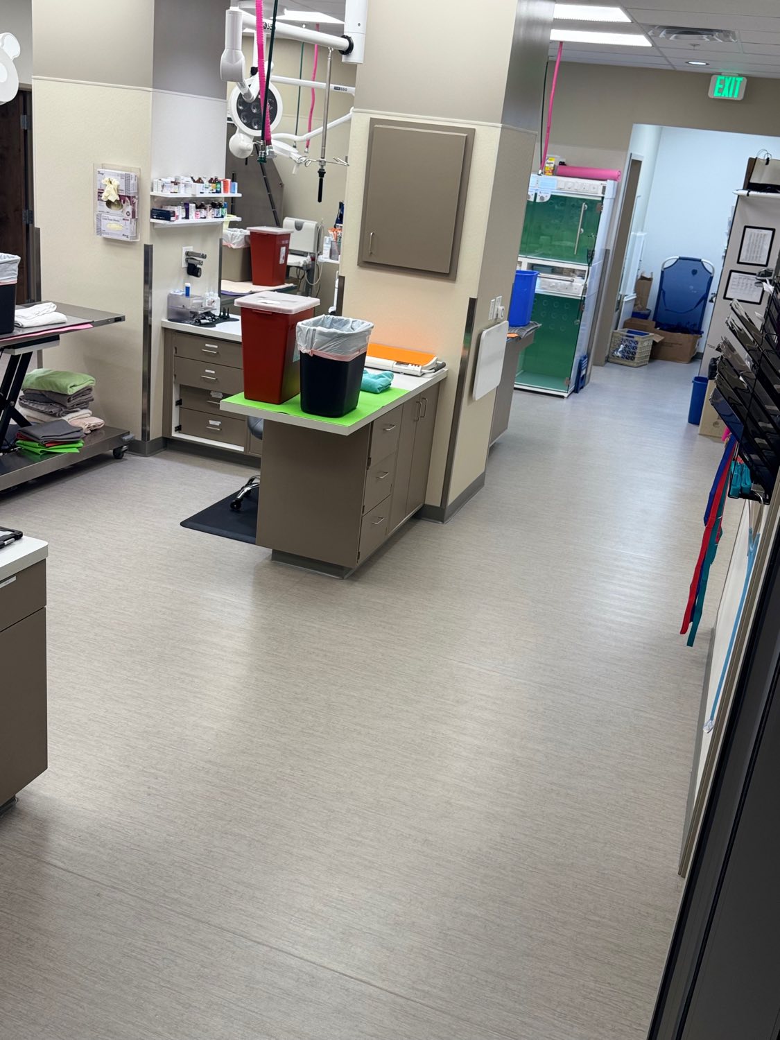 Veterinary treatment area with clean resilient sheet flooring